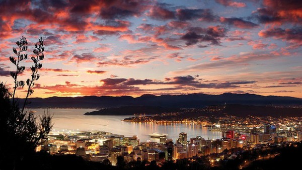 A Week in Wellington