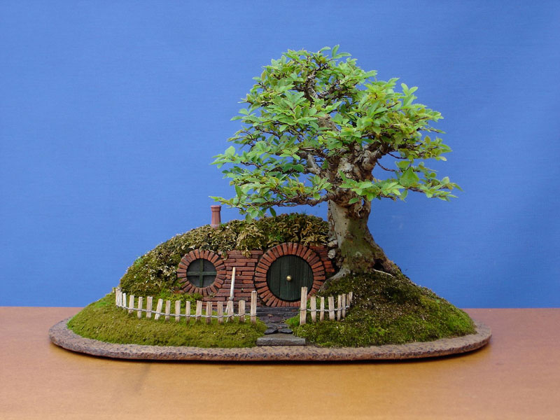 bonsai-baggins-hobbit-home-by-chris-guise-8