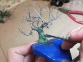 Creating a Tree