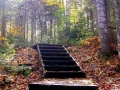 "Autumn Stairway"; Jennie M.