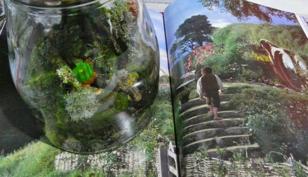 An adorable Hobbit terrarium by Kiwi blogger, Elmtree